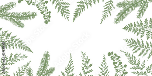 Forest foliage frame vector illustration, botanical plant silhouettes, pine and fern natural background with empty space, isolated