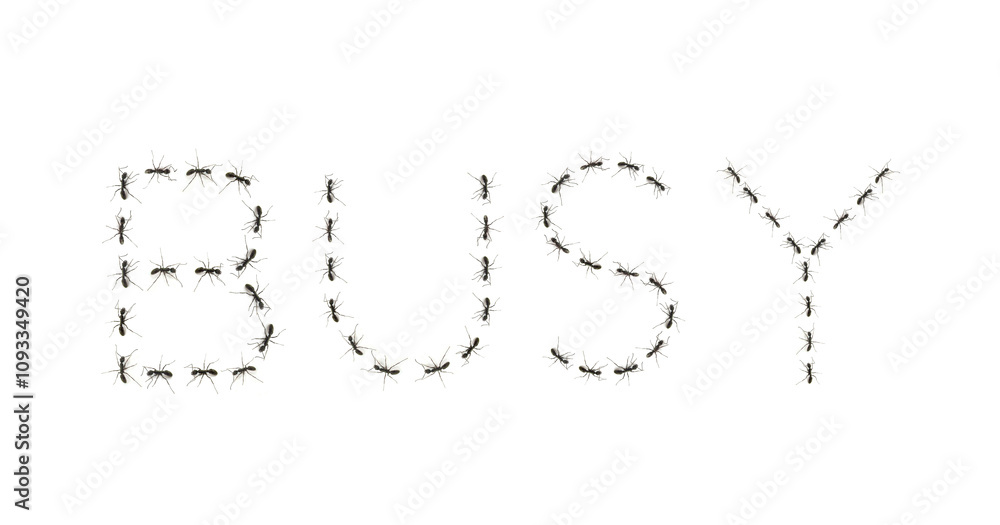 ants assembled to spell the word busy ants assembled to spell the word busy