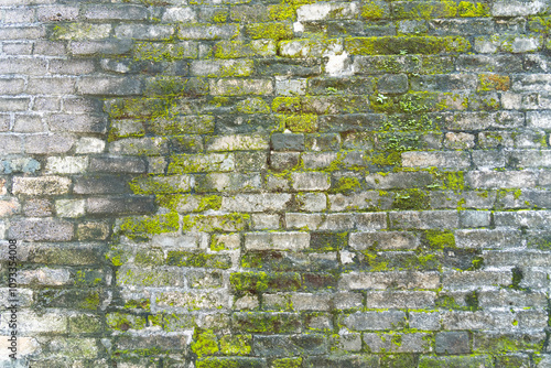 Background of old brick wall texture with moss