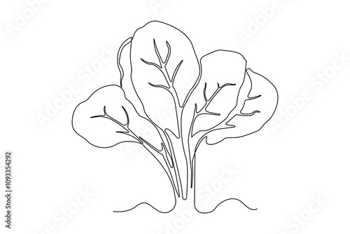 Hand-drawn spinach continuous outline vector. Spinach plant line art drawing.