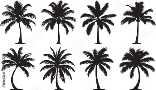 Vector Palm Tree Silhouettes

