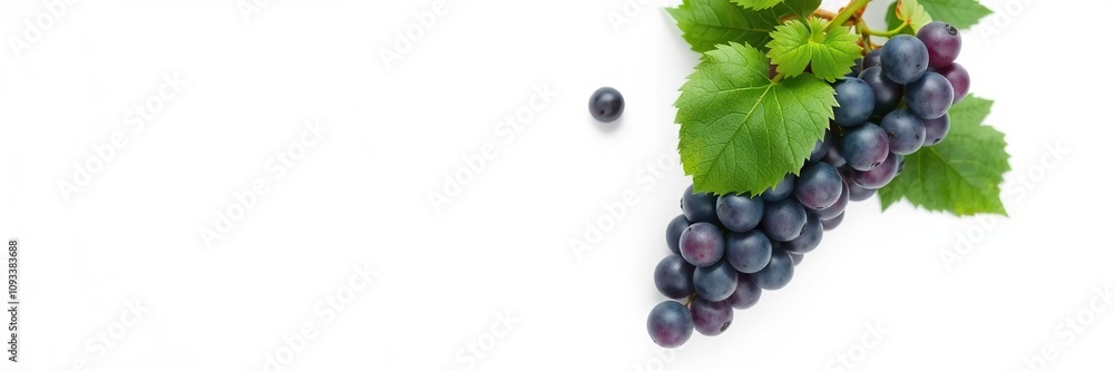 Fototapeta premium grapes on a white background with leaves nearby, leafy greens, vine leaves