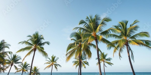 Palm trees sway gently in the ocean breeze, exotic flowers, sunny sky, palm trees