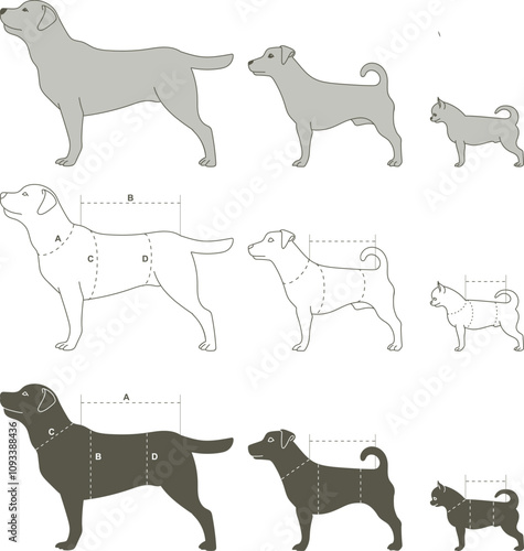 Various dog measurements for Size chart for Giant, medium and small breeds.
