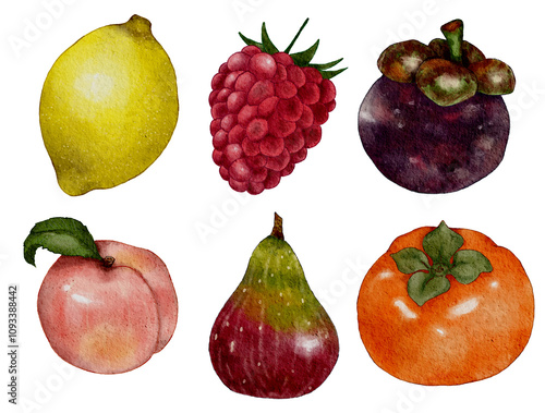 collection of watercolor fruits on white background 