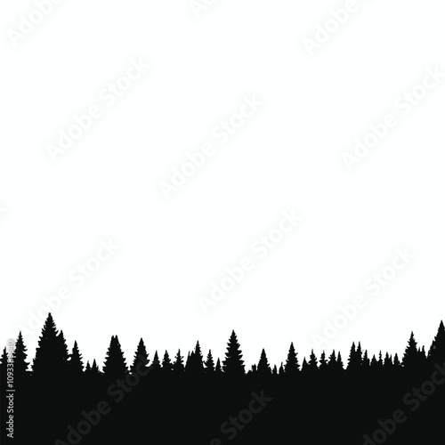 Silhouette of a forest with tall pine trees against a white background