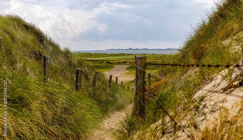 footpath through the dunes on the Ellenbogen Sylt