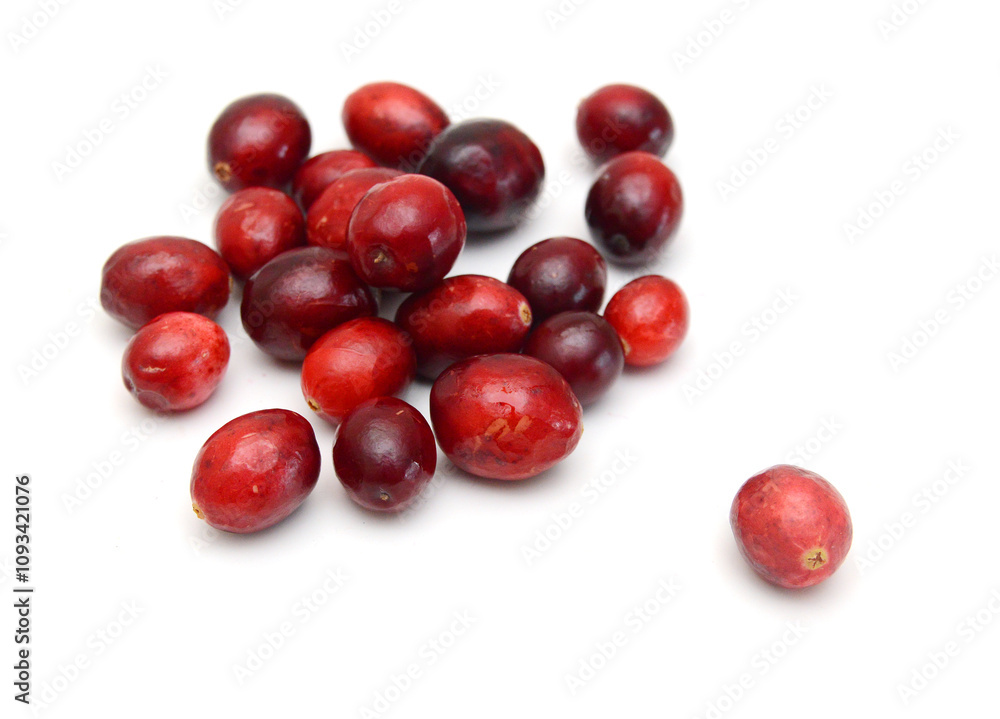 Cranberry isolated on white background Cranberry isolated on white background