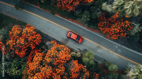 A vibrant orange hued landscape featuring a red car driving along a winding road, surrounded by blooming flowers in full bloom, creating a striking contrast against the greenery photo