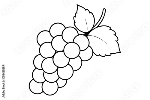 illustration of grapes line art vector design om white.