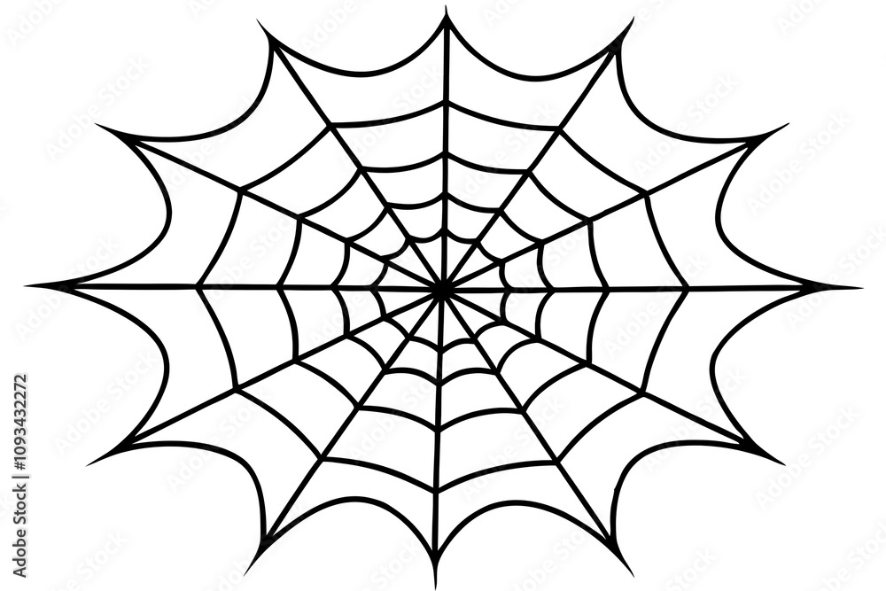 spider and web spider and web