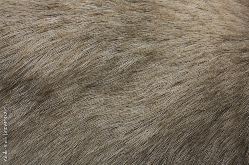 fur texture background