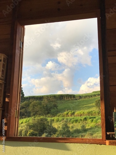 view from window