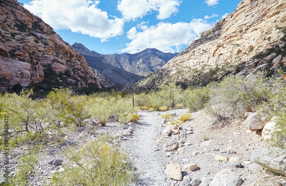 Hiking Through Nevada's Red Rock Canyon Hiking Through Nevada's Red Rock Canyon