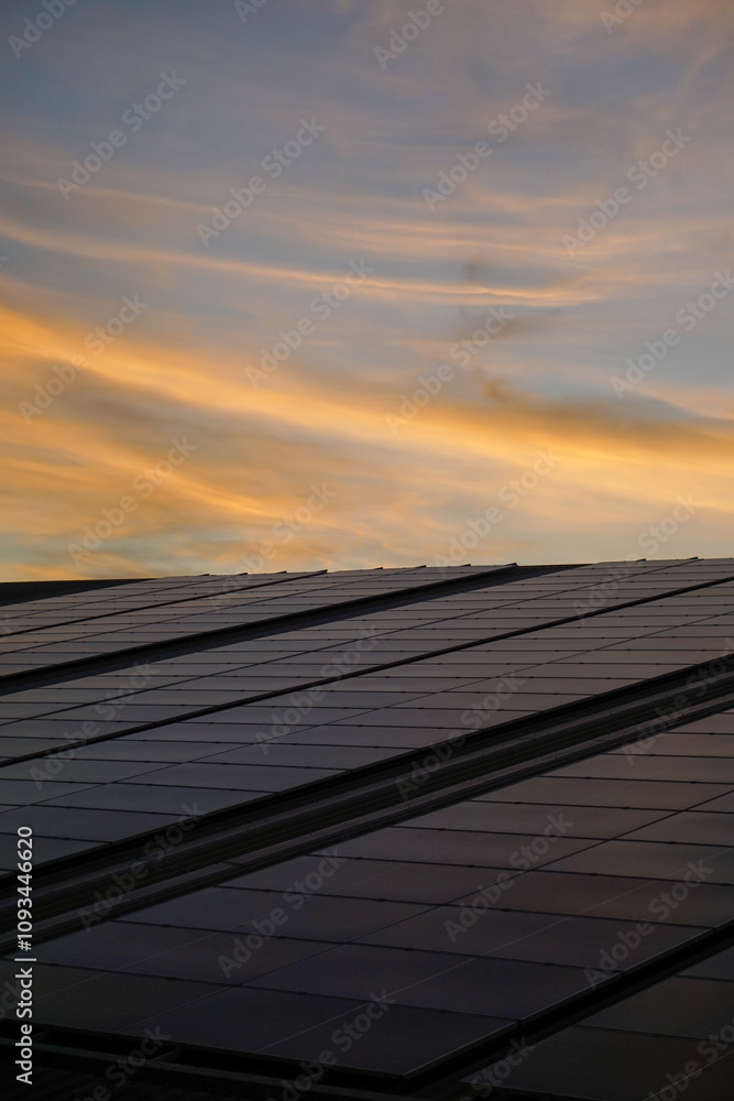 Fototapeta premium the rooftop of factory warehouse during sunse. renewable energy of photovoltaic for reduce energy and carbon footprint. clean energy.solar panels producing clean green renewable energy of factory ware