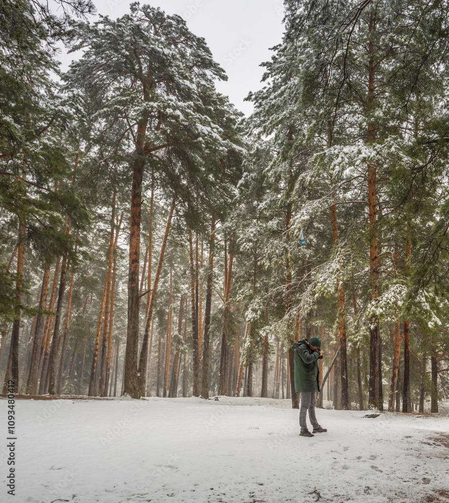 Person is standing in the snow in a forest Person is standing in the snow in a forest