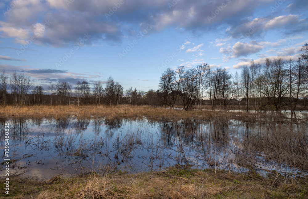 Field of grass is flooded with water Field of grass is flooded with water