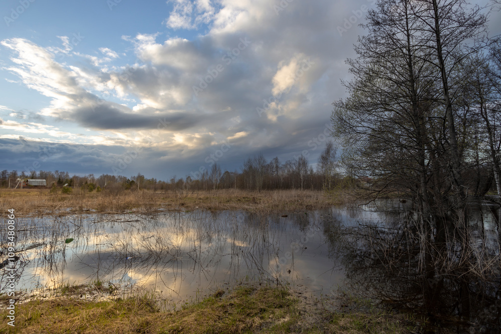 Field with a body of water and trees in the background Field with a body of water and trees in the background