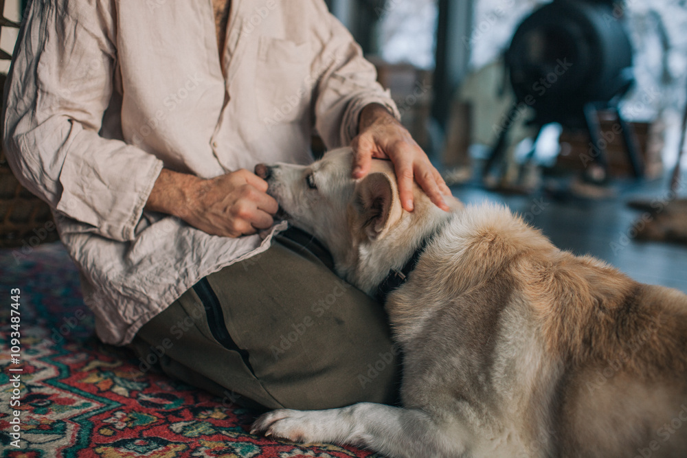 cat, animal, pet, kitten, woman, boy, feline, eyes, veterinarian, dog, vet, mammal, fur, people, domestic, cute, teenager, tabby, care, nature, holding, cats, kitty, white, puppy, husky, portrait, can