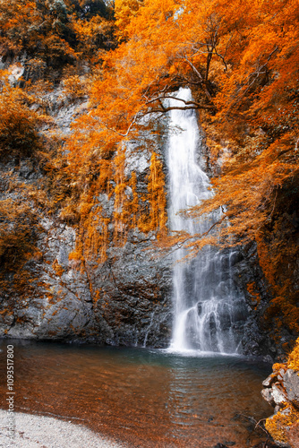 Autumn of Minoo fall (Osaka Japan) photo