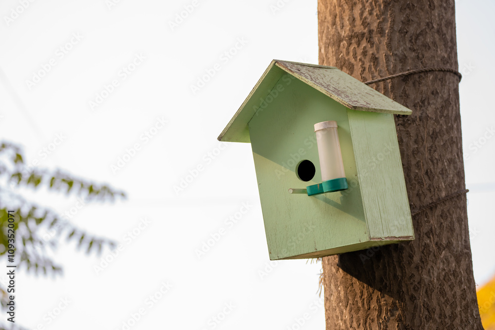 Sparrow's wooden nest on a tree Sparrow's wooden nest on a tree