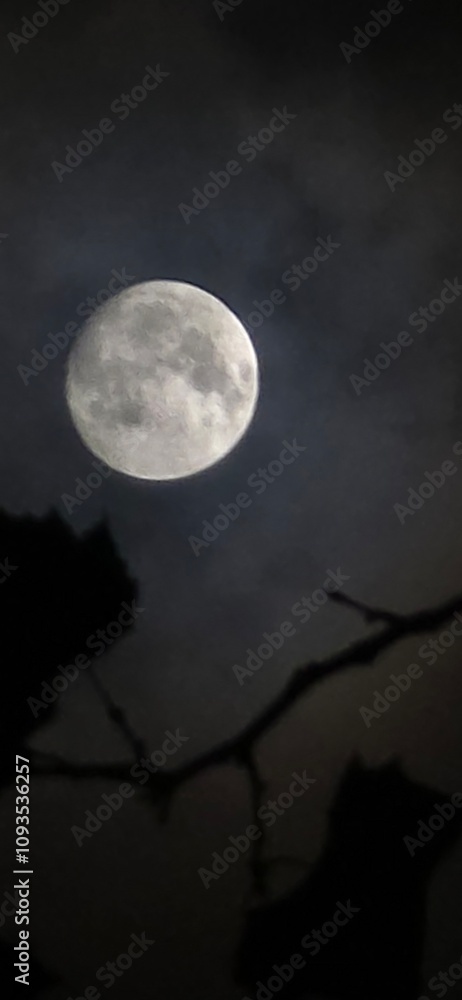 Fototapeta premium Naturaleza