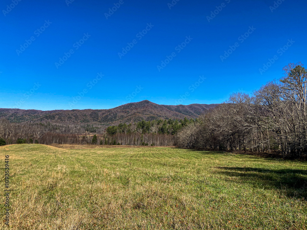 Autumn Landscape in the Mountains Autumn Landscape in the Mountains