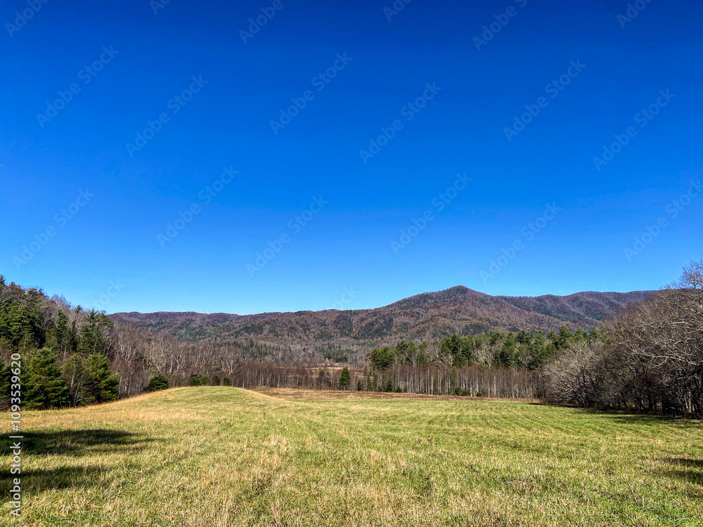 Fototapeta premium Autumn Landscape in the Mountains