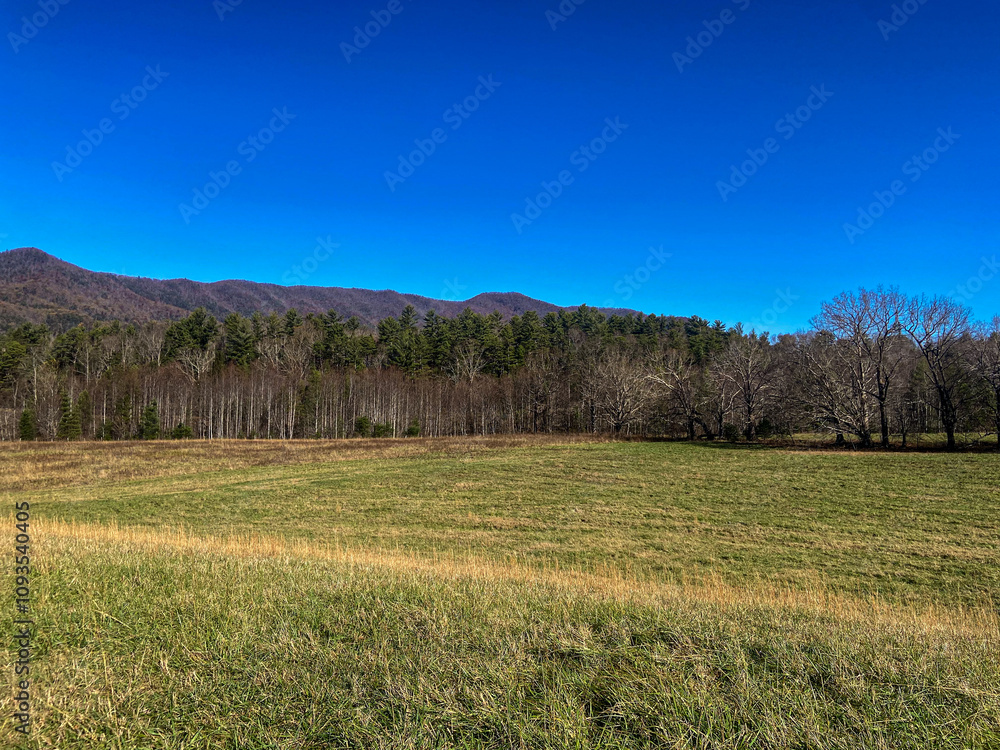 Fototapeta premium Autumn Landscape in the Mountains