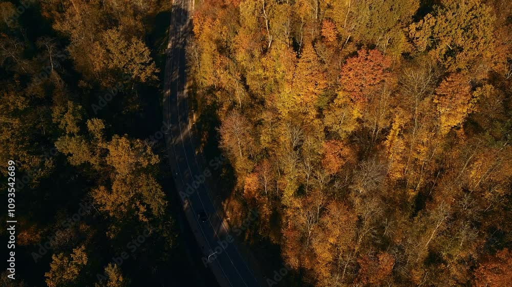 An aerial view of a vibrant Autumn landscape with colorful Fall foliage along a scenic winding road An aerial view of a vibrant Autumn landscape with colorful Fall foliage along a scenic winding road