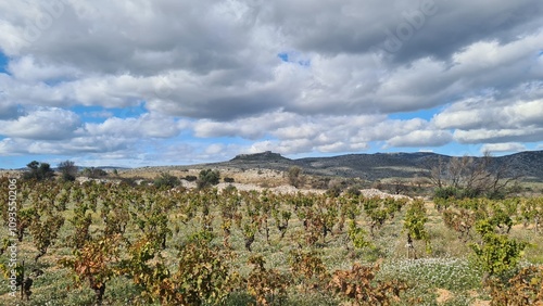 Le castell de Salvaterra derrière les vignes des Corbières photo