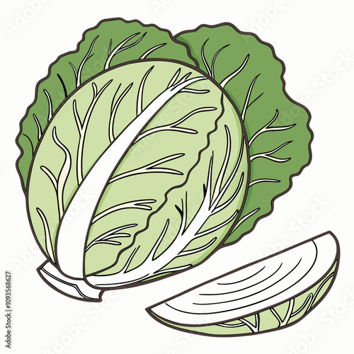 cabbage isolated on white background