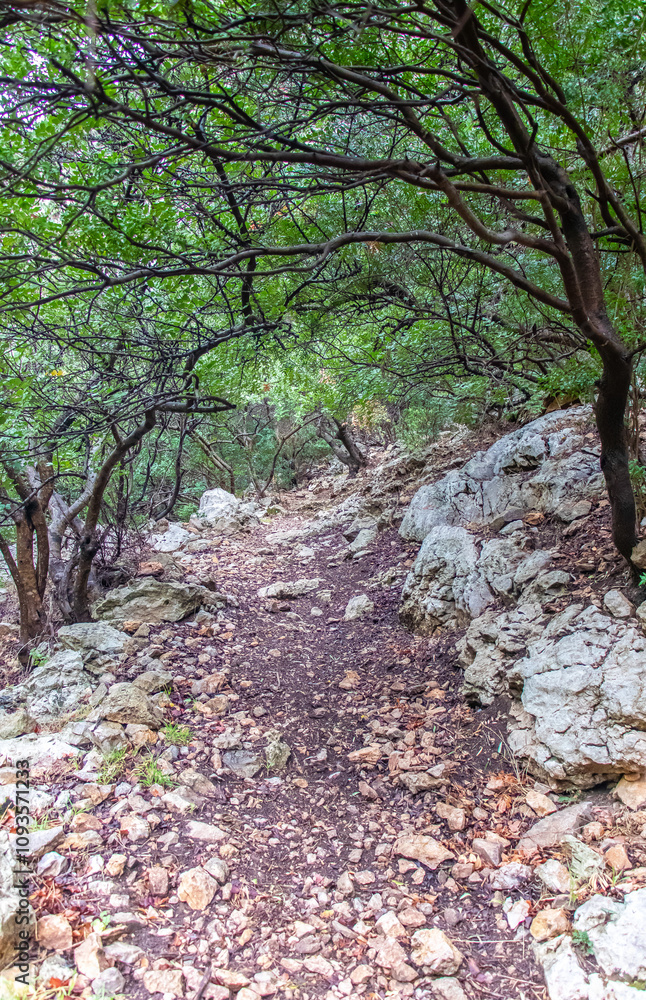 Majestic Djebel Zaghouan: Tunisia's Stunning Mountain Majestic Djebel Zaghouan: Tunisia's Stunning Mountain
