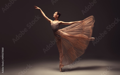 Bild auf Leinwand Ballerina