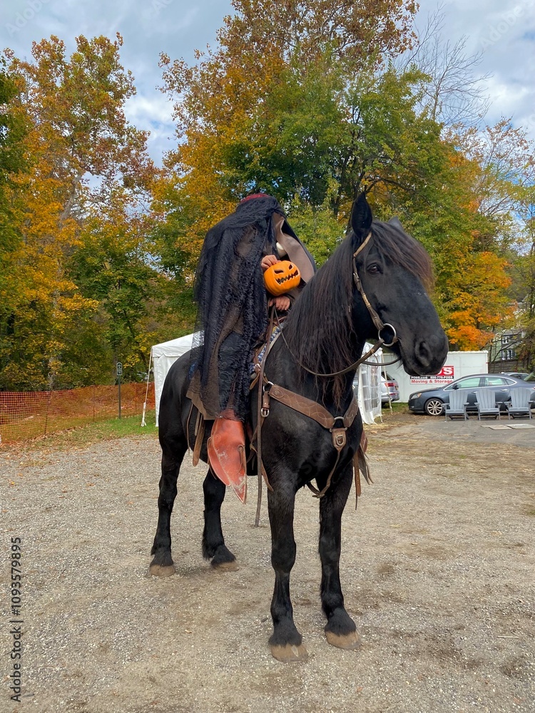 horse and rider horse and rider