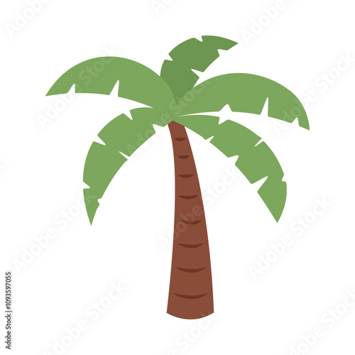 tropical palm tree