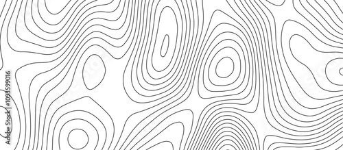  Abstract white wave paper curved reliefs background design. The black on white contours topography stylized relief diagram line wave carve pattern background.