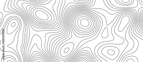  Abstract white wave paper curved reliefs background design. The black on white contours topography stylized relief diagram line wave carve pattern background.