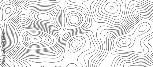  Abstract white wave paper curved reliefs background design. The black on white contours topography stylized relief diagram line wave carve pattern background.