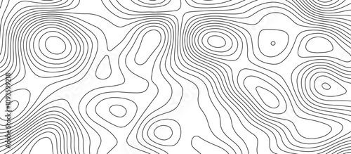  Abstract white wave paper curved reliefs background design. The black on white contours topography stylized relief diagram line wave carve pattern background.