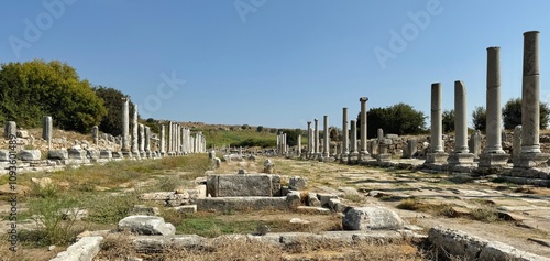 Obraz na płótnie The main street with fountain in the ancient city of Perge Ruins in Turkey w salonie