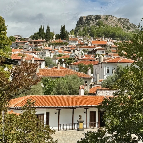 Obraz na płótnie The Ottoman style of chimneys in the old town of Mugla in Turkey w salonie