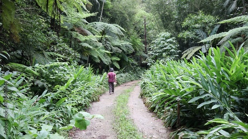 Uma mulher caminha em uma estrada rural em meio à floresta. photo