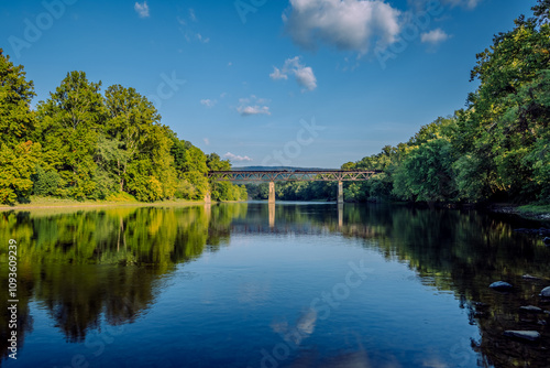 reflection of trees in water