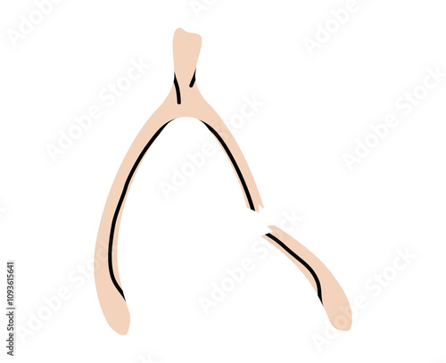 Hand drawn cute cartoon illustration of broken wishbone. Flat vector lucky bone doodle. Make a wish. Chicken os talisman icon or sticker. Superstition symbol. Hope for the best. Isolated.