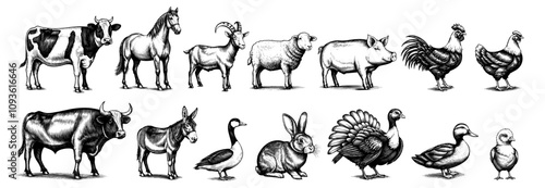 Vintage Engraved Farm Animals Collection. Ink style, hand drawn illustrations set. Isolated on white background, vector illustration.
