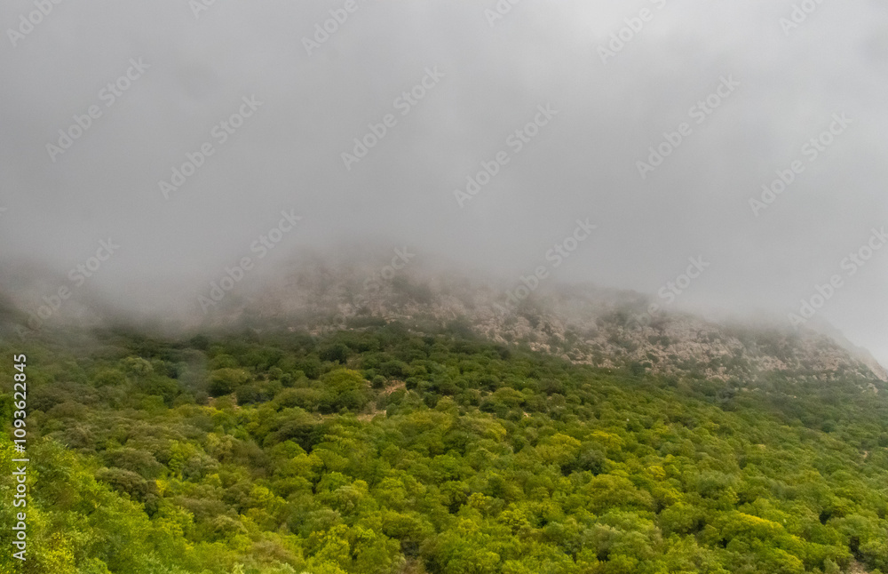 Majestic Djebel Zaghouan: Tunisia's Stunning Mountain Majestic Djebel Zaghouan: Tunisia's Stunning Mountain