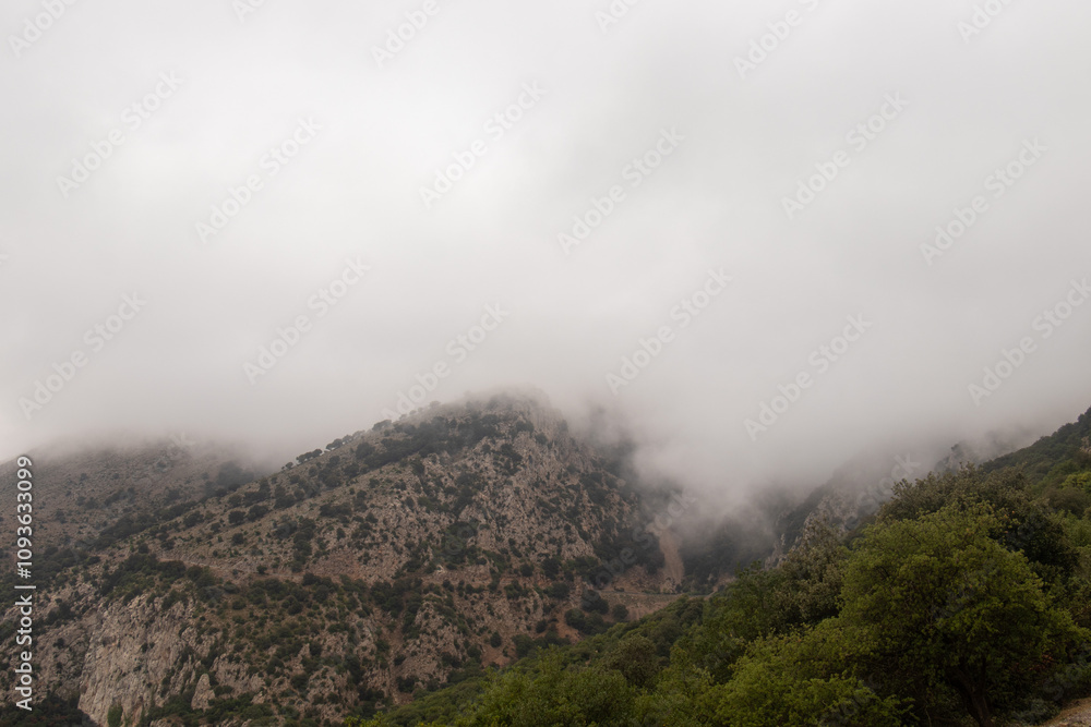 Majestic Djebel Zaghouan: Tunisia's Stunning Mountain Majestic Djebel Zaghouan: Tunisia's Stunning Mountain
