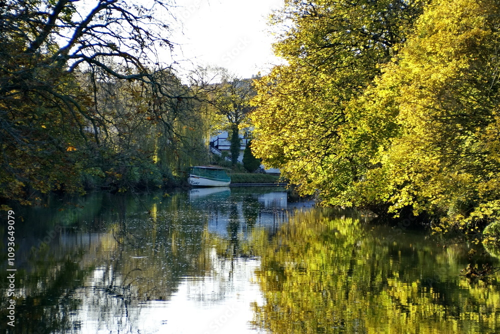 Naklejka premium Trees with autumn vegetation along the River Avon in Bath, England