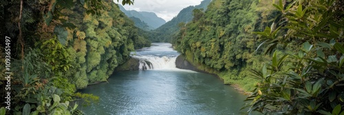 A banner with the image of a long river flowing from a waterfall between green mountains, surrounded by a dense rainforest with lush green foliage.